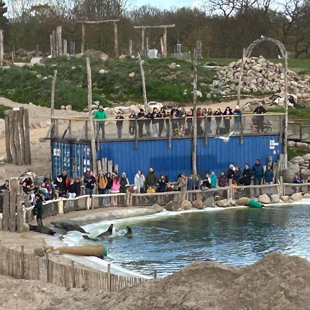 Kuestenbude Robbe Groemitz Luaran gambar