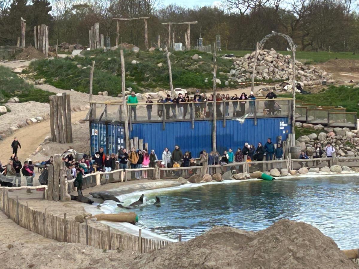 Kuestenbude Robbe Groemitz Luaran gambar