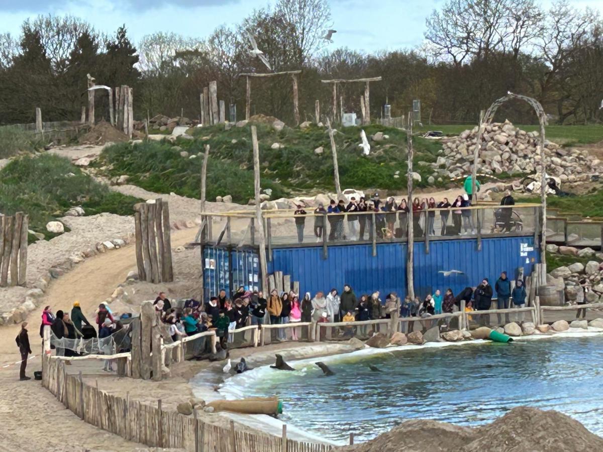 Kuestenbude Robbe Groemitz Luaran gambar